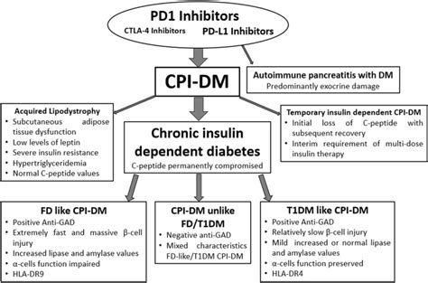 valley diabetes & endocrine comprehensive center|Identification of Immune Checkpoint Inhibitor–Induced Diabetes.